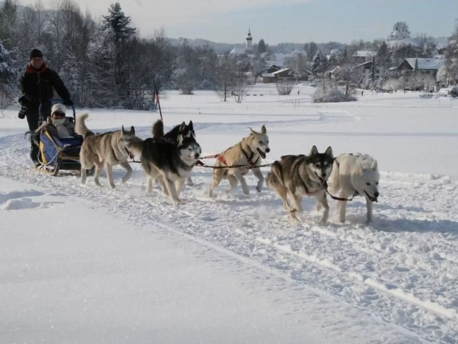 Bärli-Image-tags.info