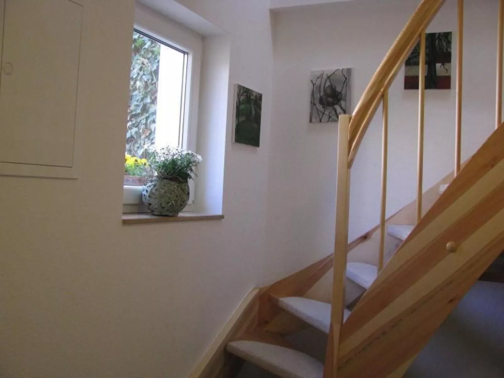 Moderne Wohnung mit Terrasse in zentraler Lage-Binnen