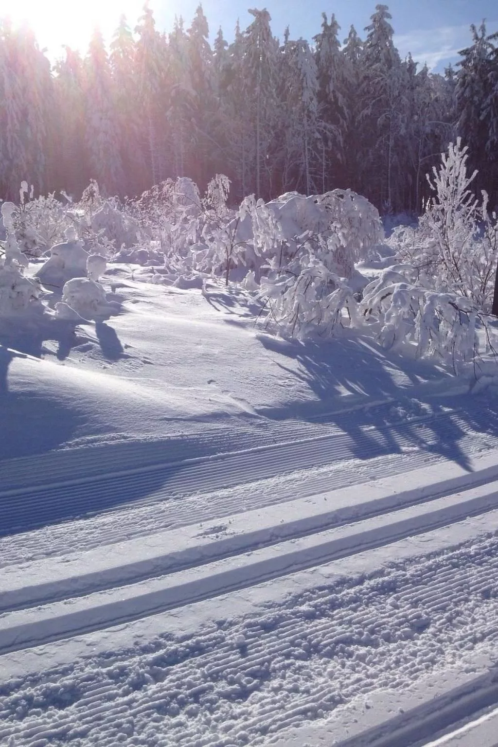 Haus Schnurbus - Image-tags.info