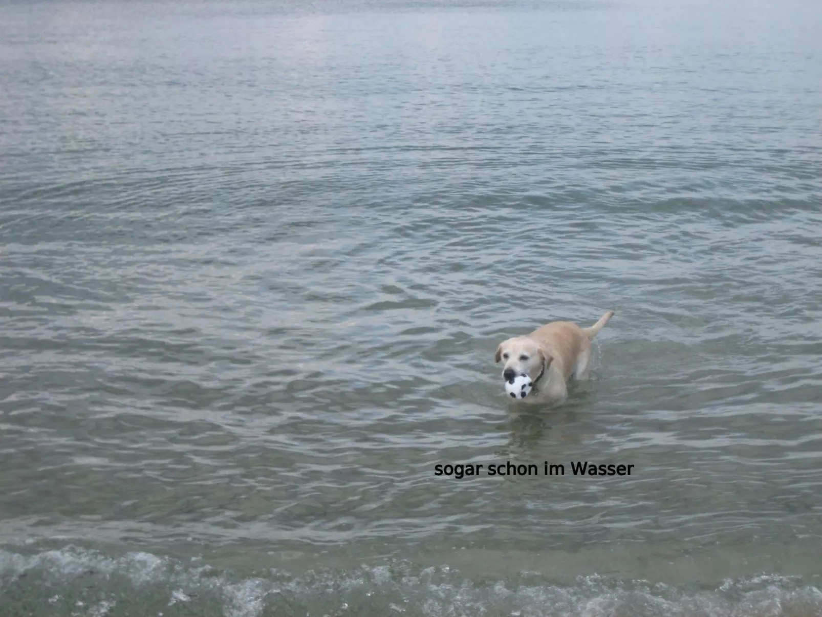 Entspannen auf der Südterrasse-Image-tags.info