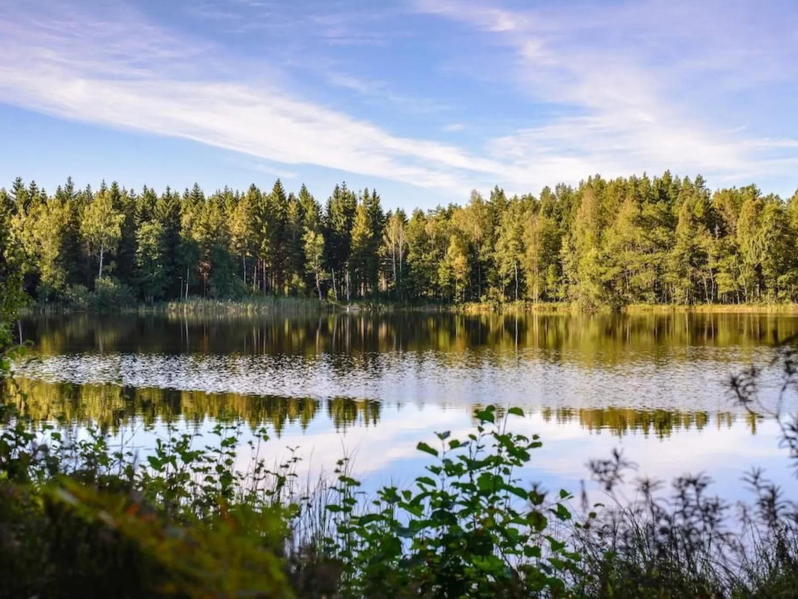 Typisch schwedisches Ferienhaus mit Garten-Buiten