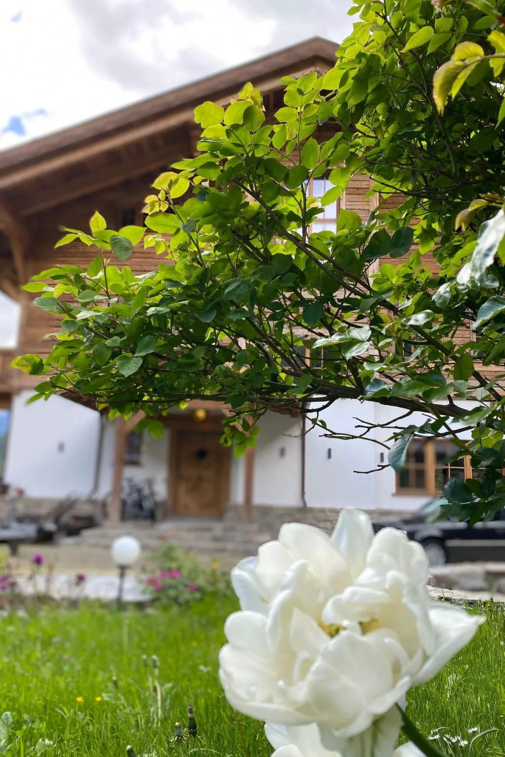 Studio Wasserfall-Buiten