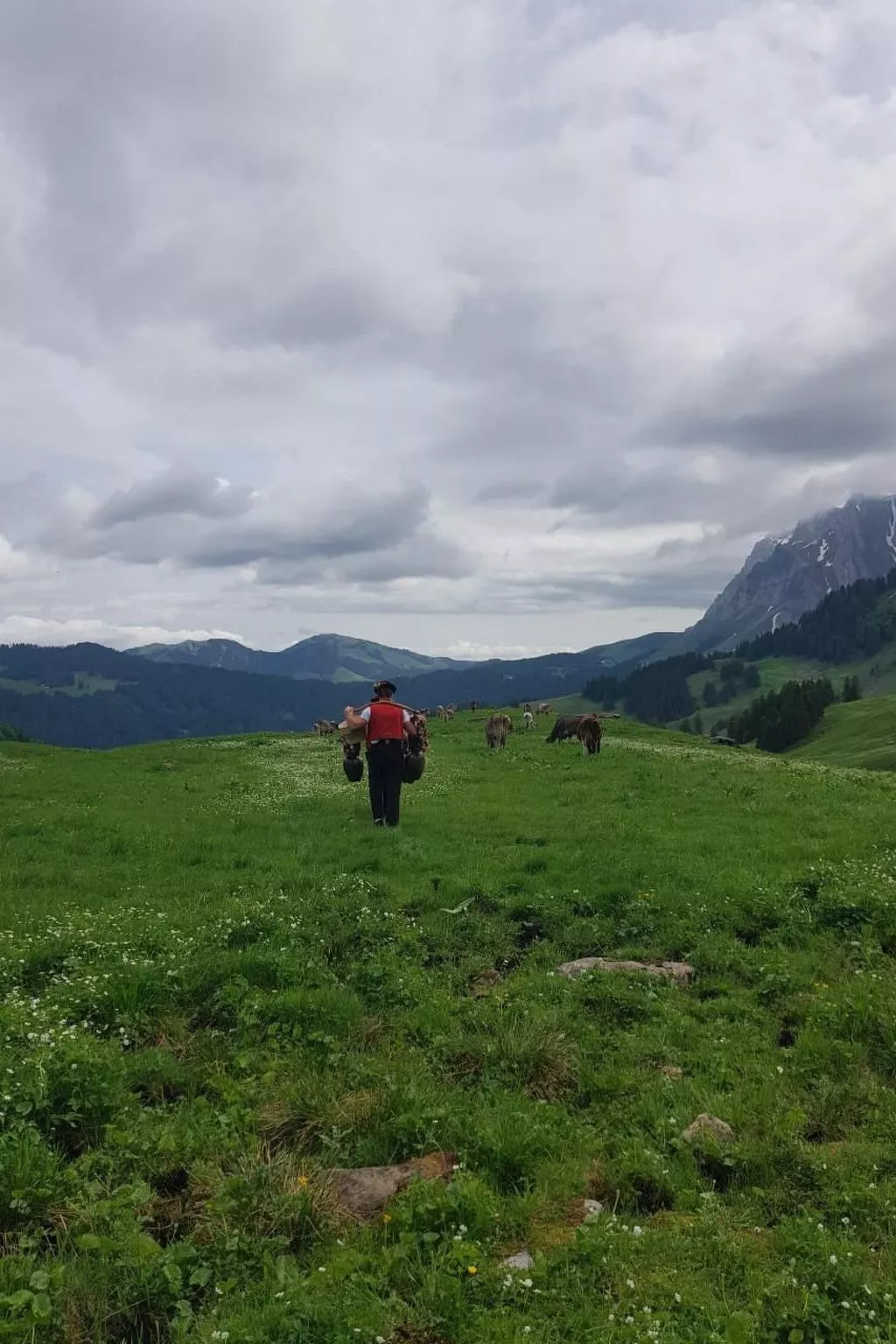 Ferien im Gugger - Wohnung Stockberg-Buiten