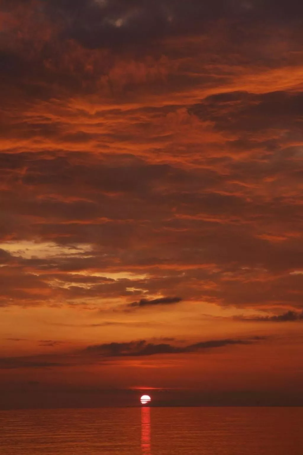 Villa Giacaranda-Buiten