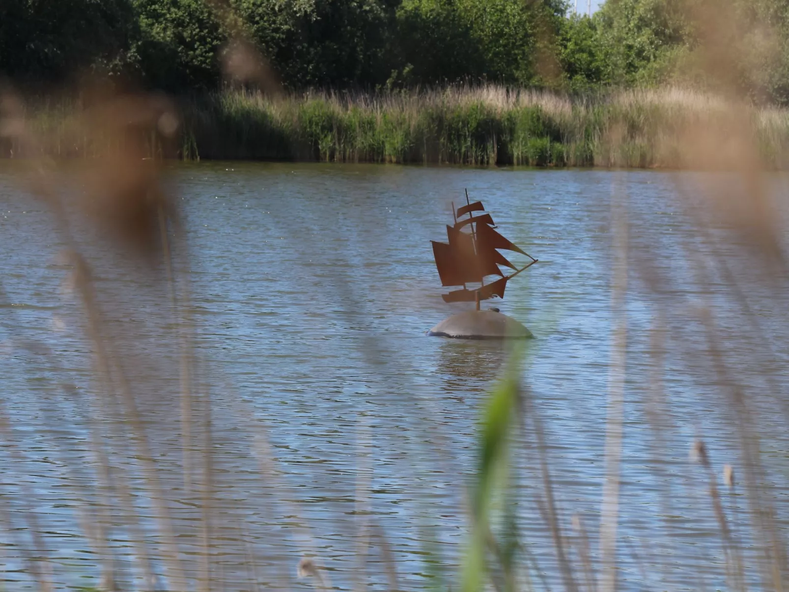 Modernes Ferienhaus mit Sauna und Whirlpool-Buiten