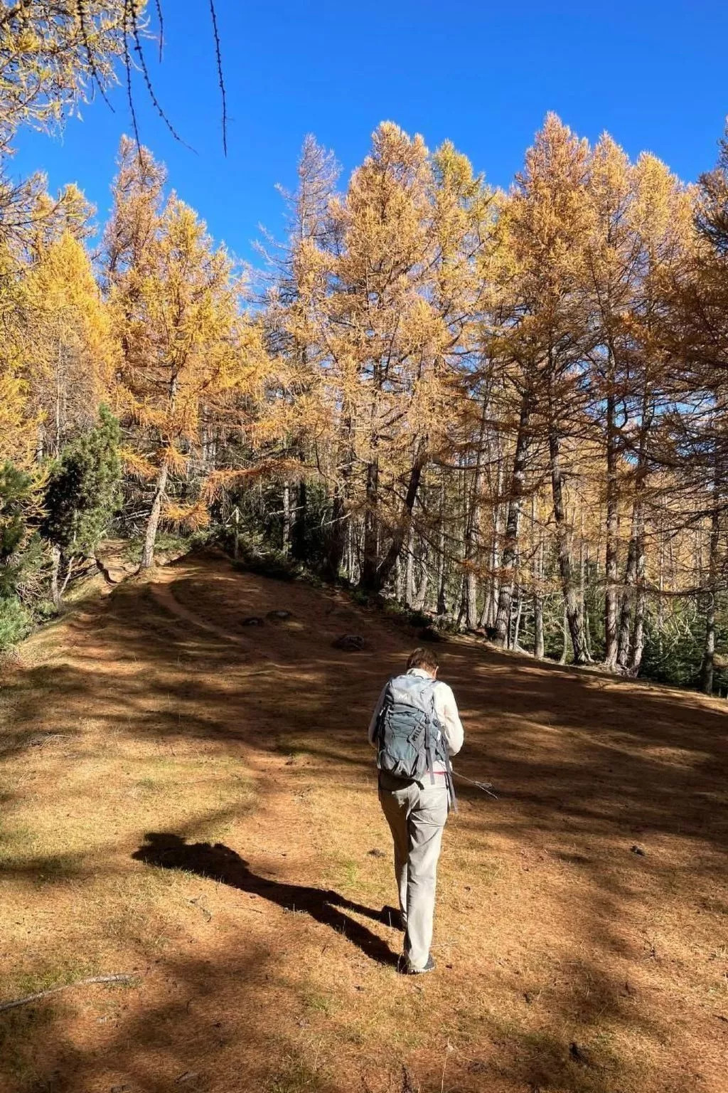 Malu in Ausserberg-Image-tags.info