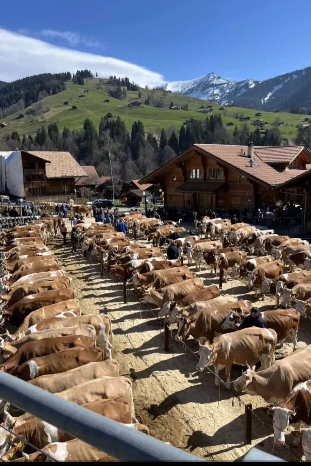 Fewo Wychelboden-Buiten