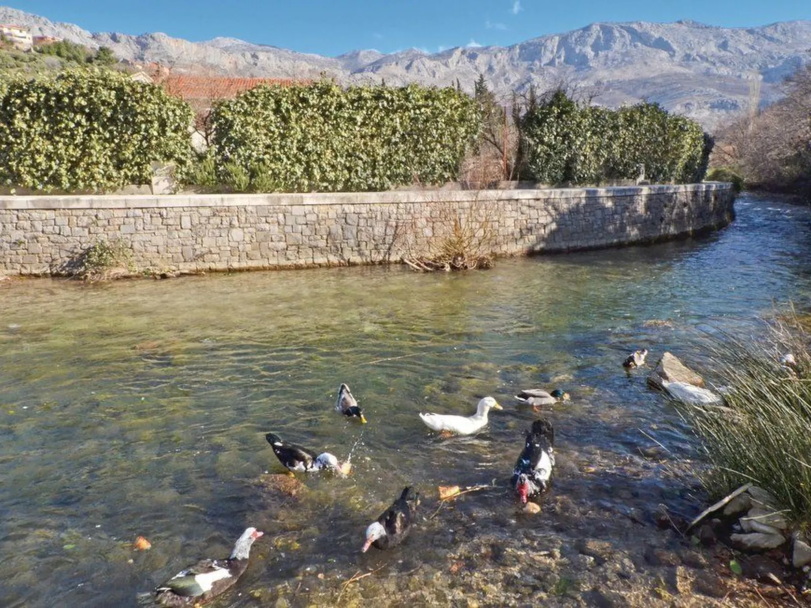 Žrnovnica, Entspannung am Flussufer-Image-tags.info