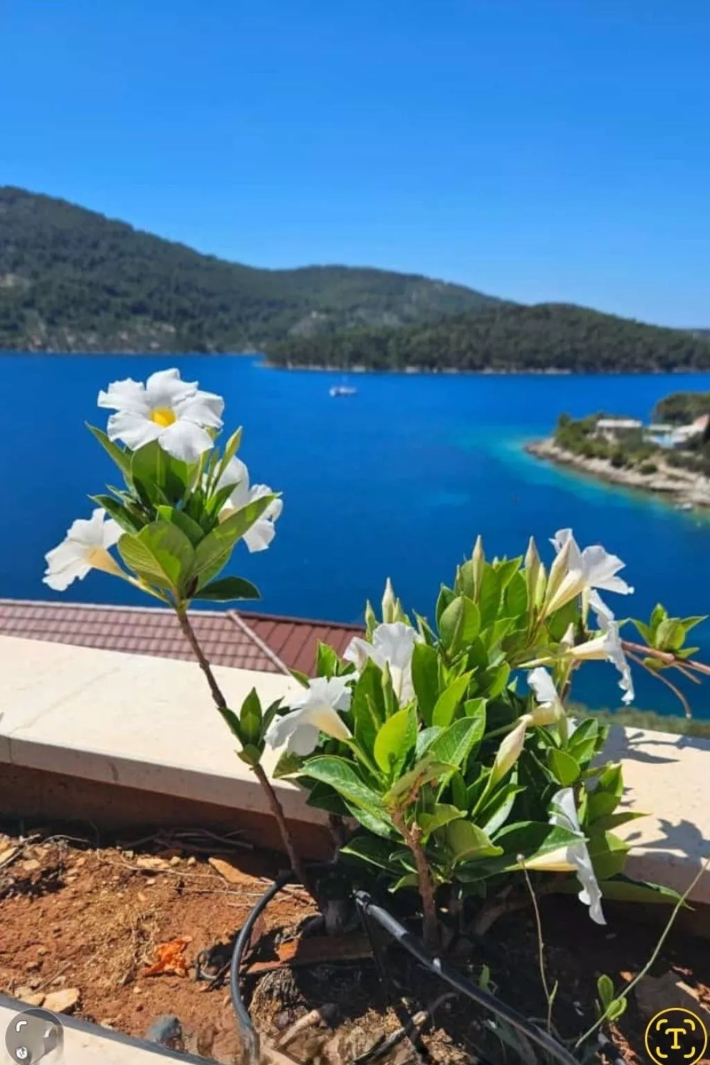 "vila Belveder" mit Infinity-Pool-Buiten