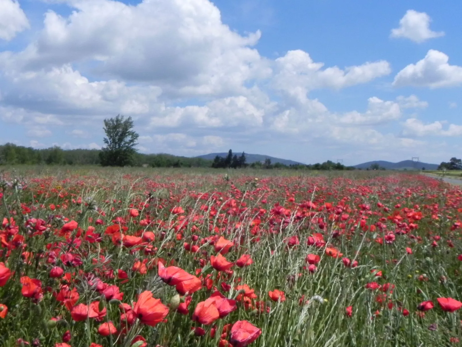 Residence du Grazel-Buiten