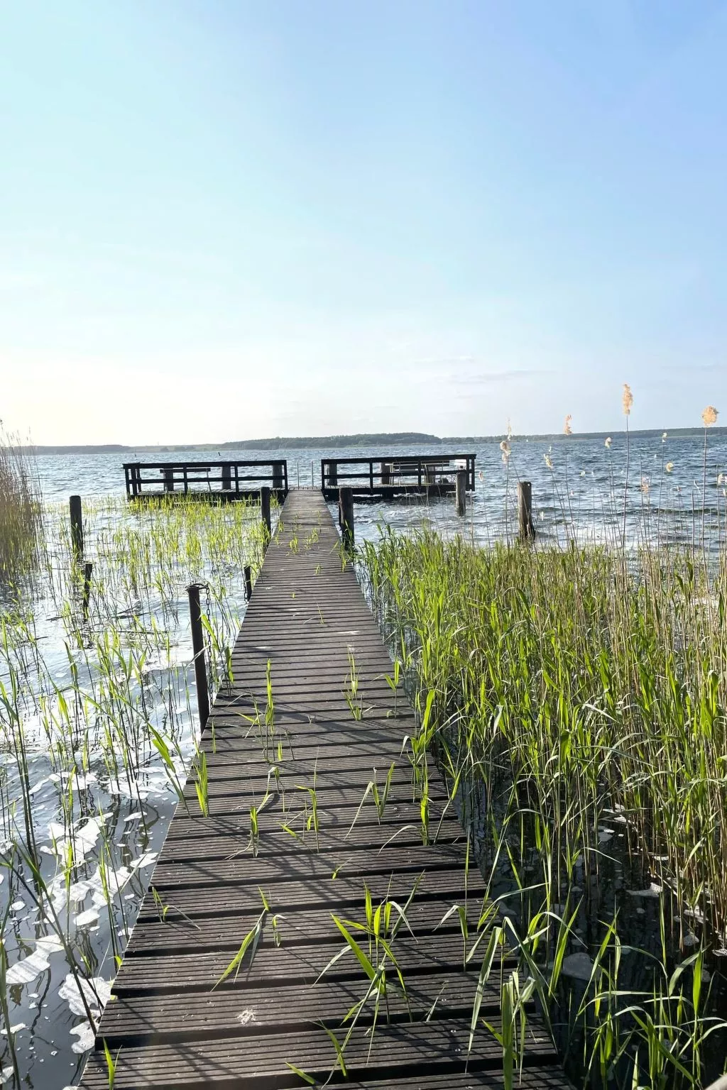 Sommerhaus JoLuFeLu-Buiten