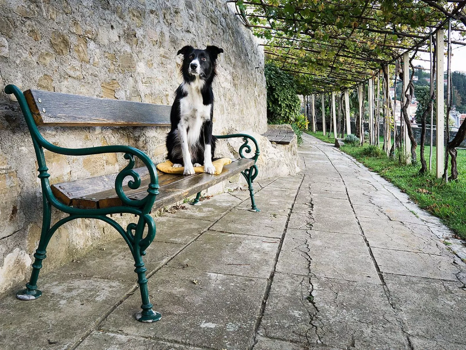 Mit Whirlpool-Image-tags.info