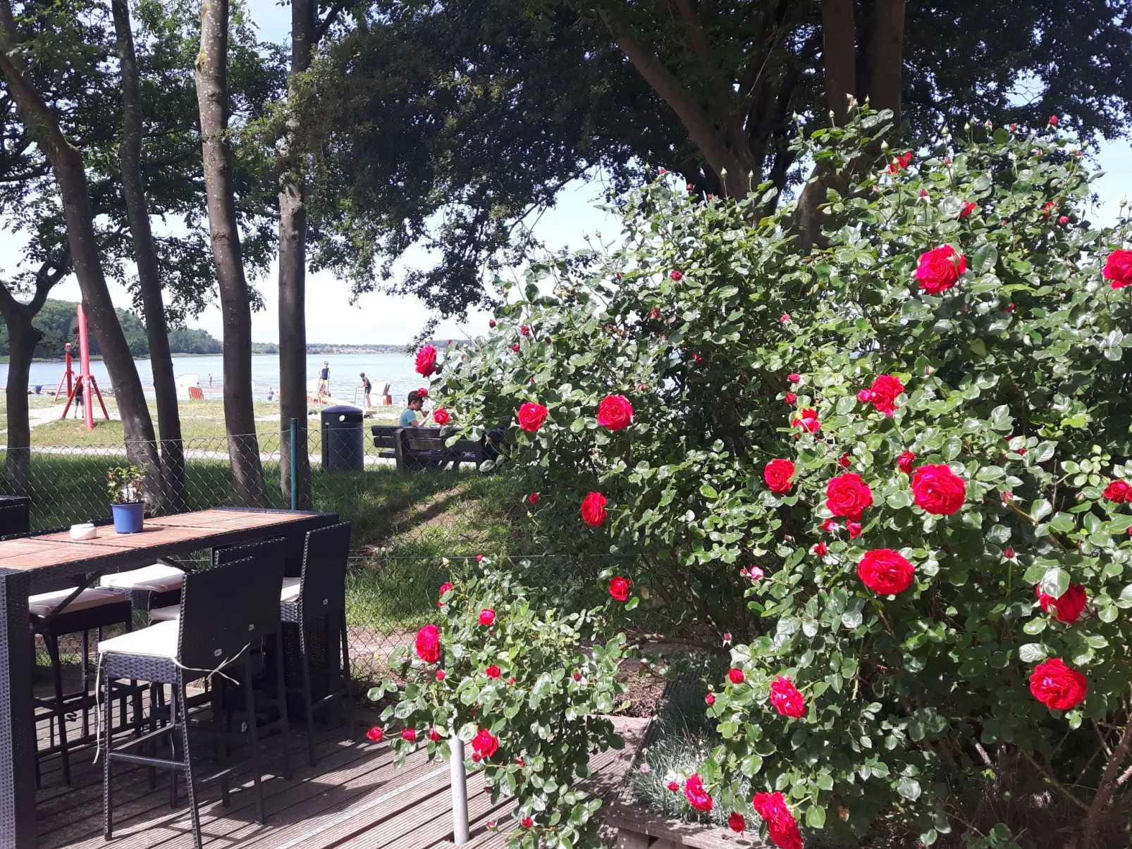 Gemütliches Schwedenhäuschen in guter Lage-Buiten