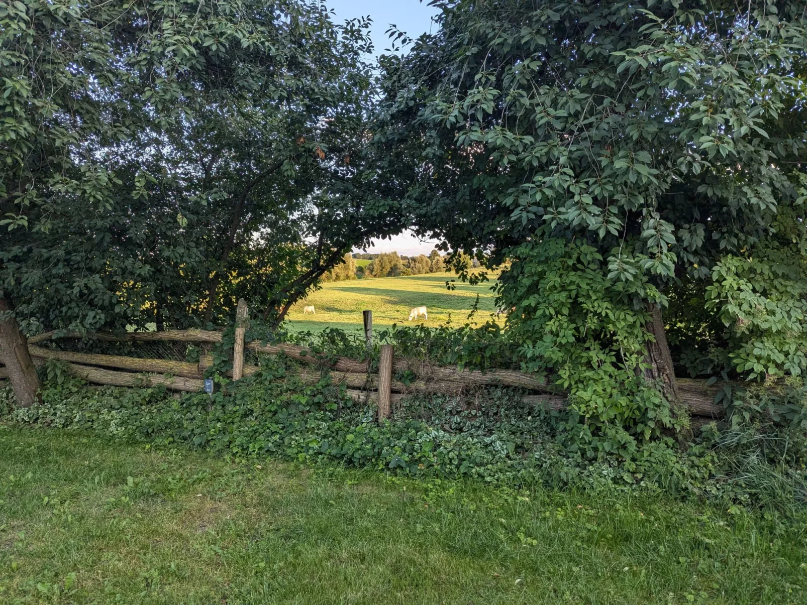 In Berkenlatten mit Großer Terrasse-Binnen