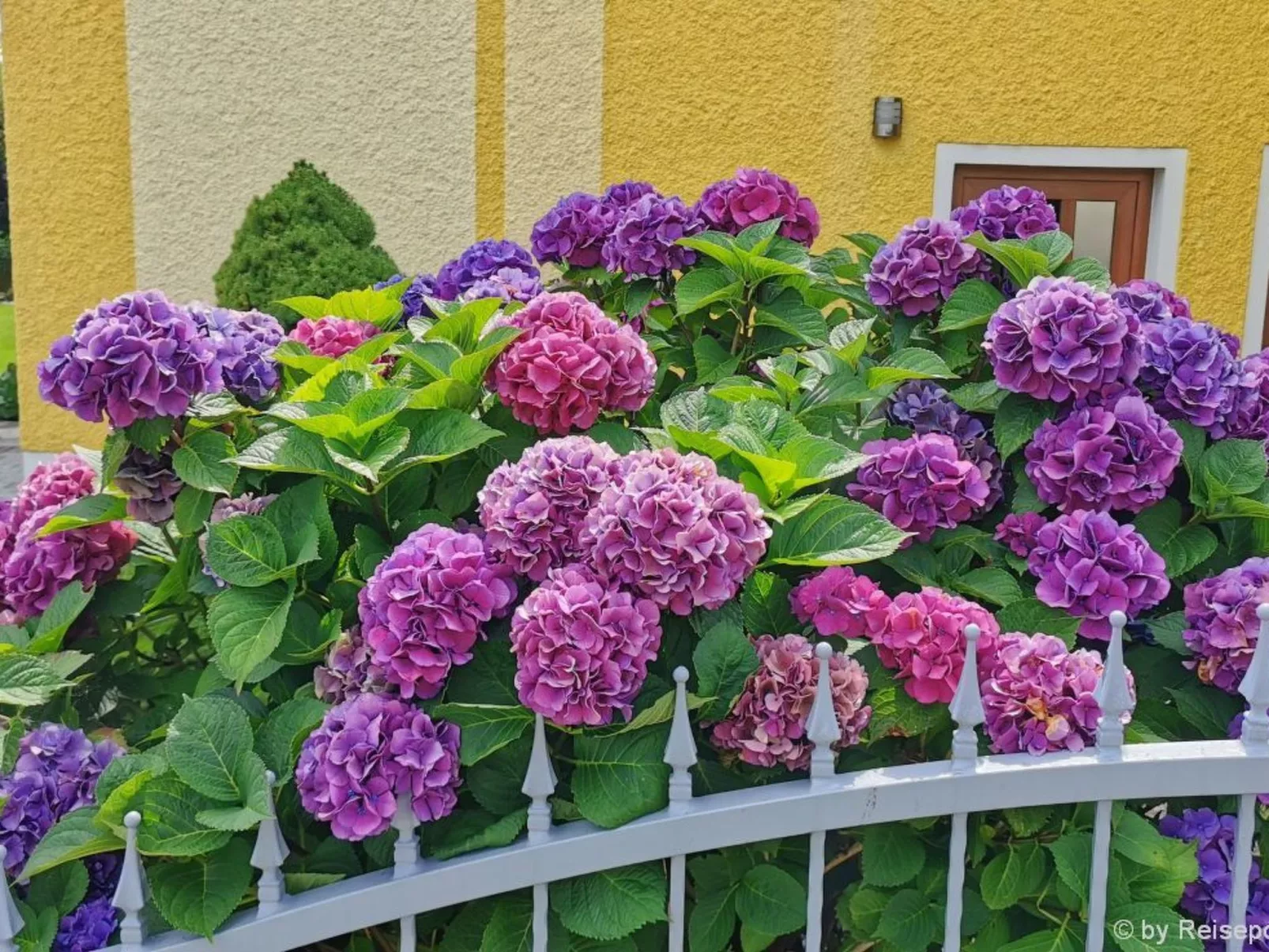 Komfortable Ferienwohnung mit Garten und Grill-Buiten