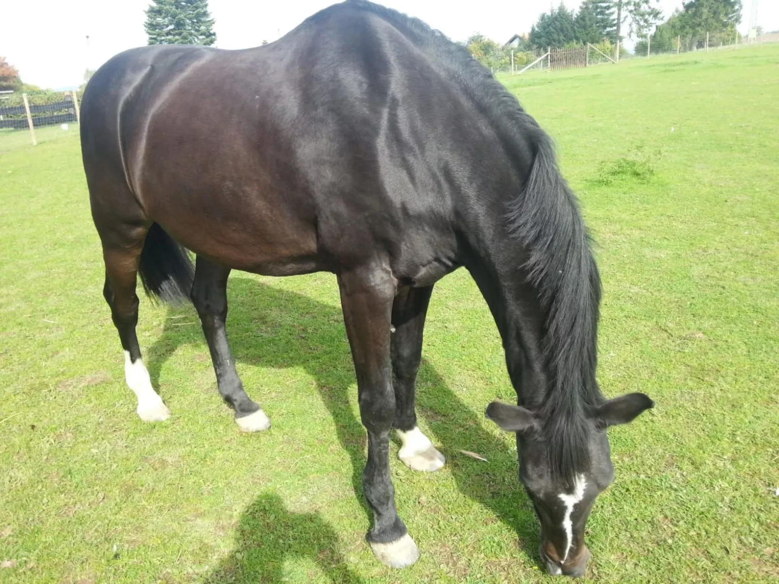 Scheunen Nest-Image-tags.info