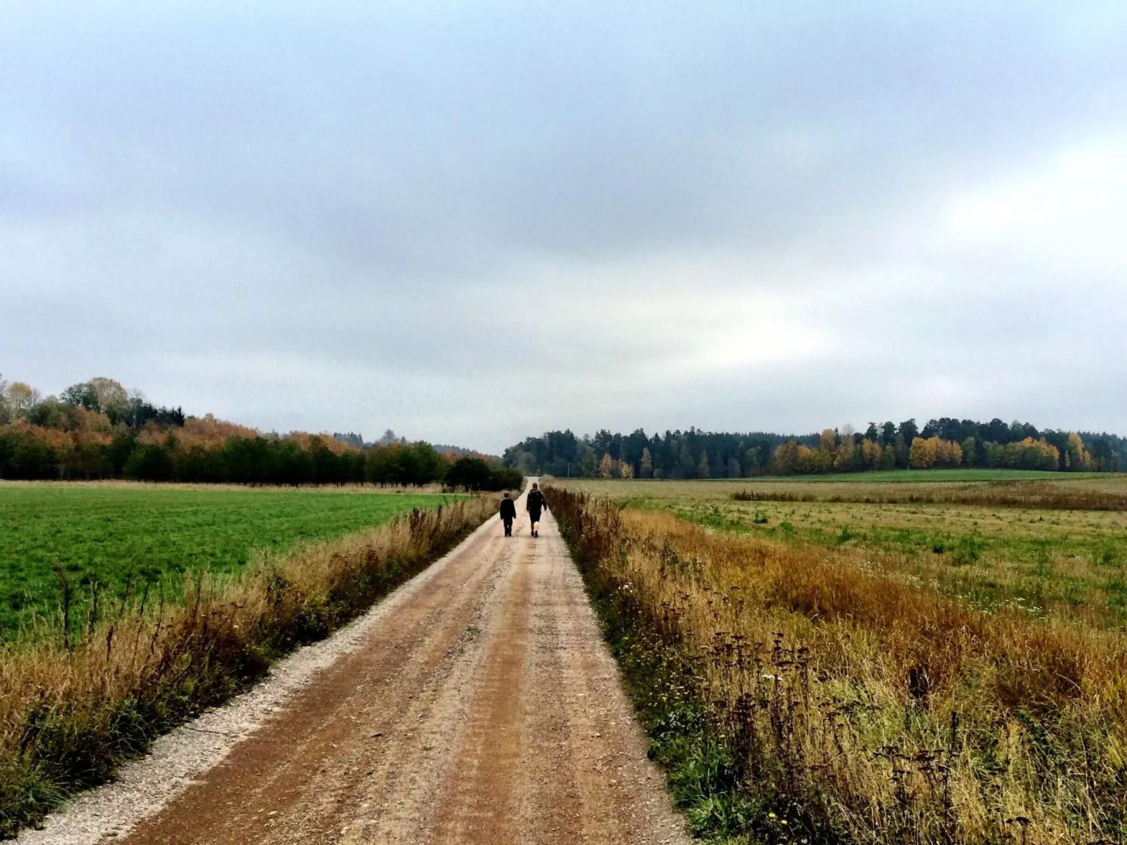 Nachhaltig und gefühlvoll in Seenähe-Binnen
