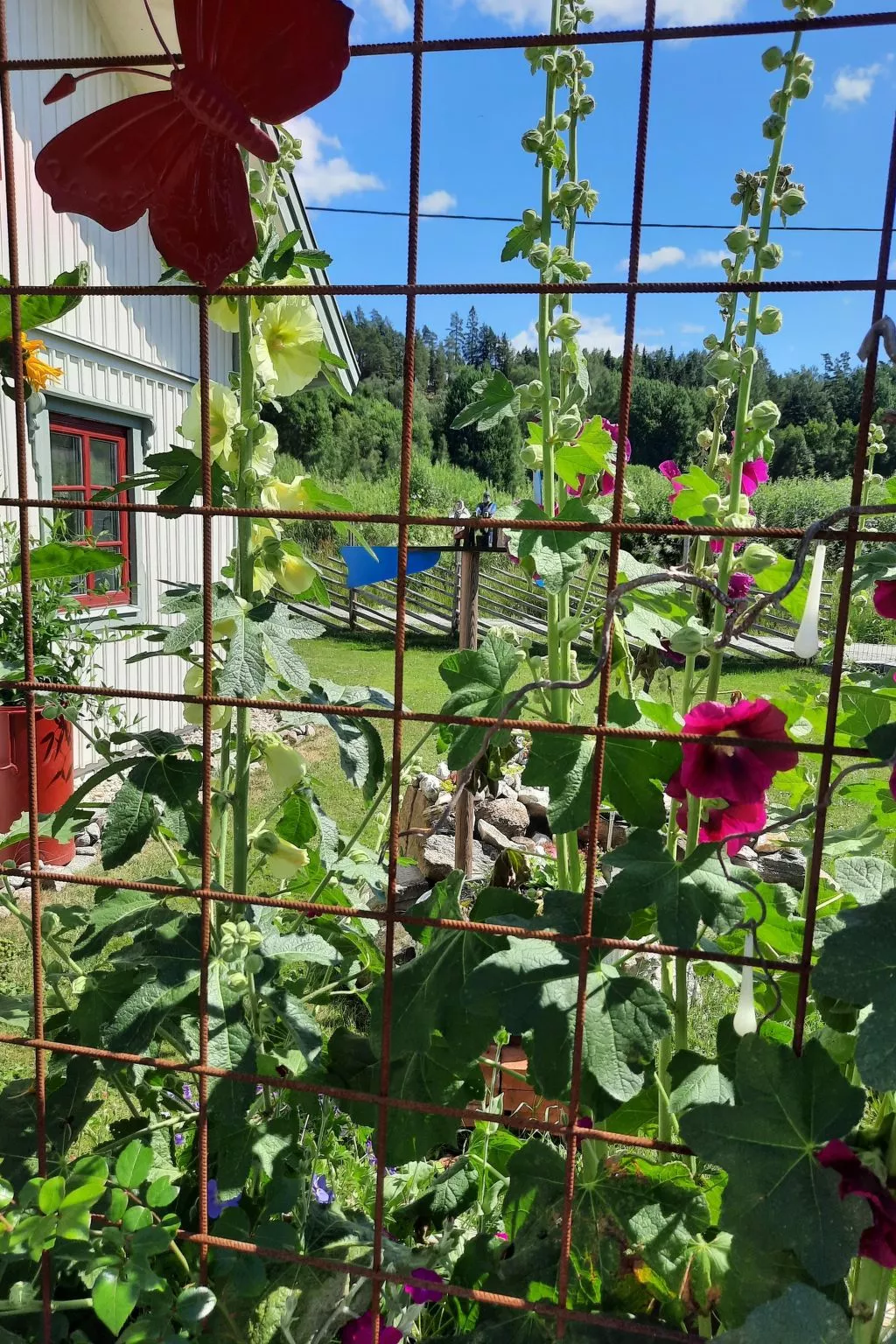 Bauernhaus-Wohnung bei Göta Älv in der Nähe von Göteborg - Buiten