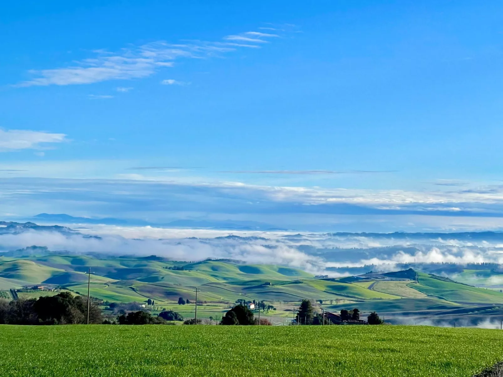 Ostoncino biodynamisch-Buiten