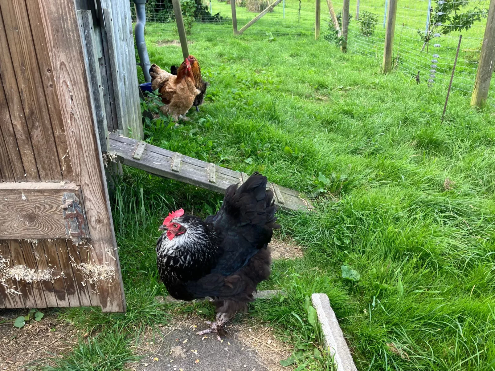Gemütliche Ferienwohnung in Brodersby-Schönhagen-Buiten
