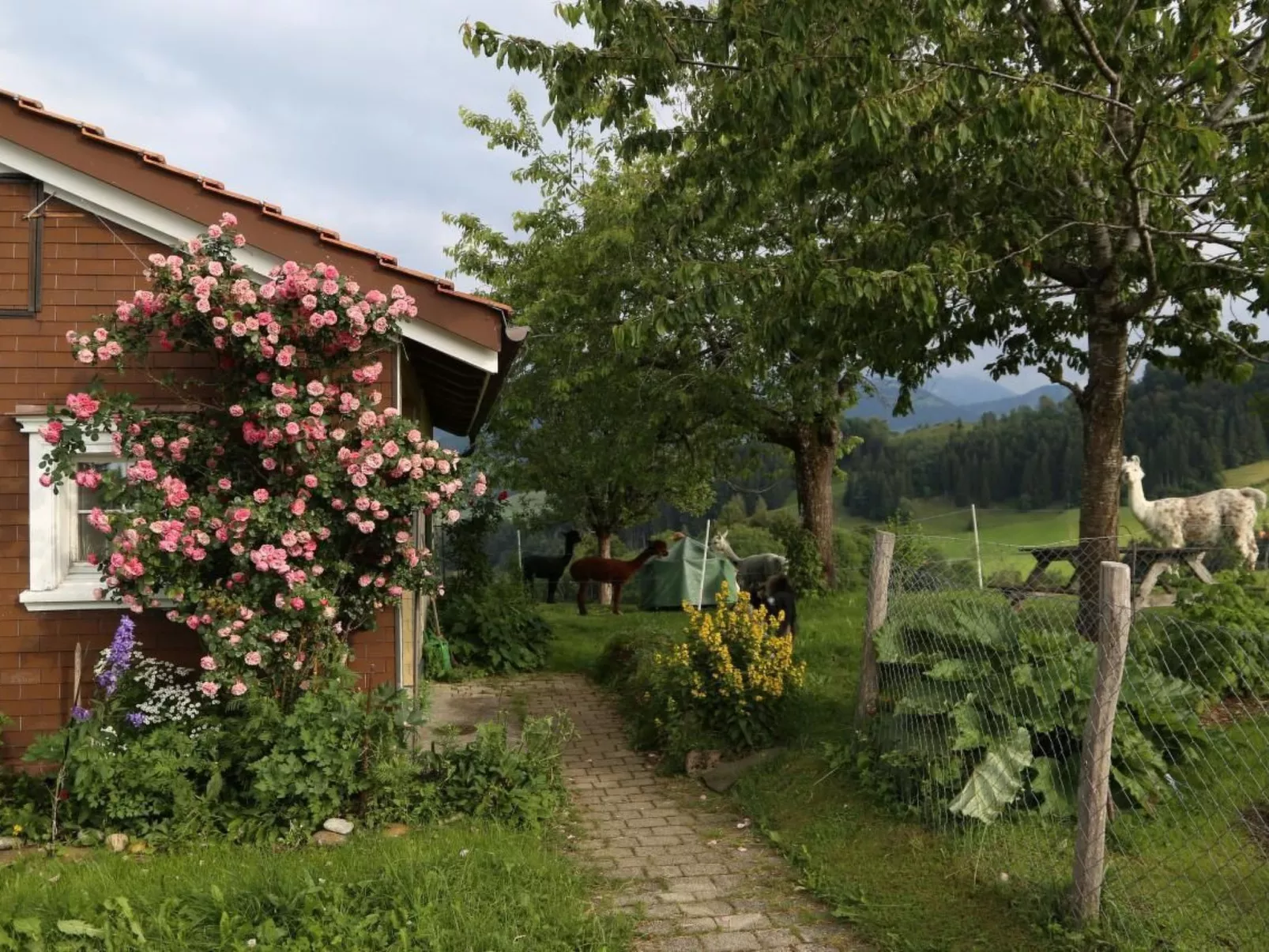 Tiererlebnishof Windegg-Buiten