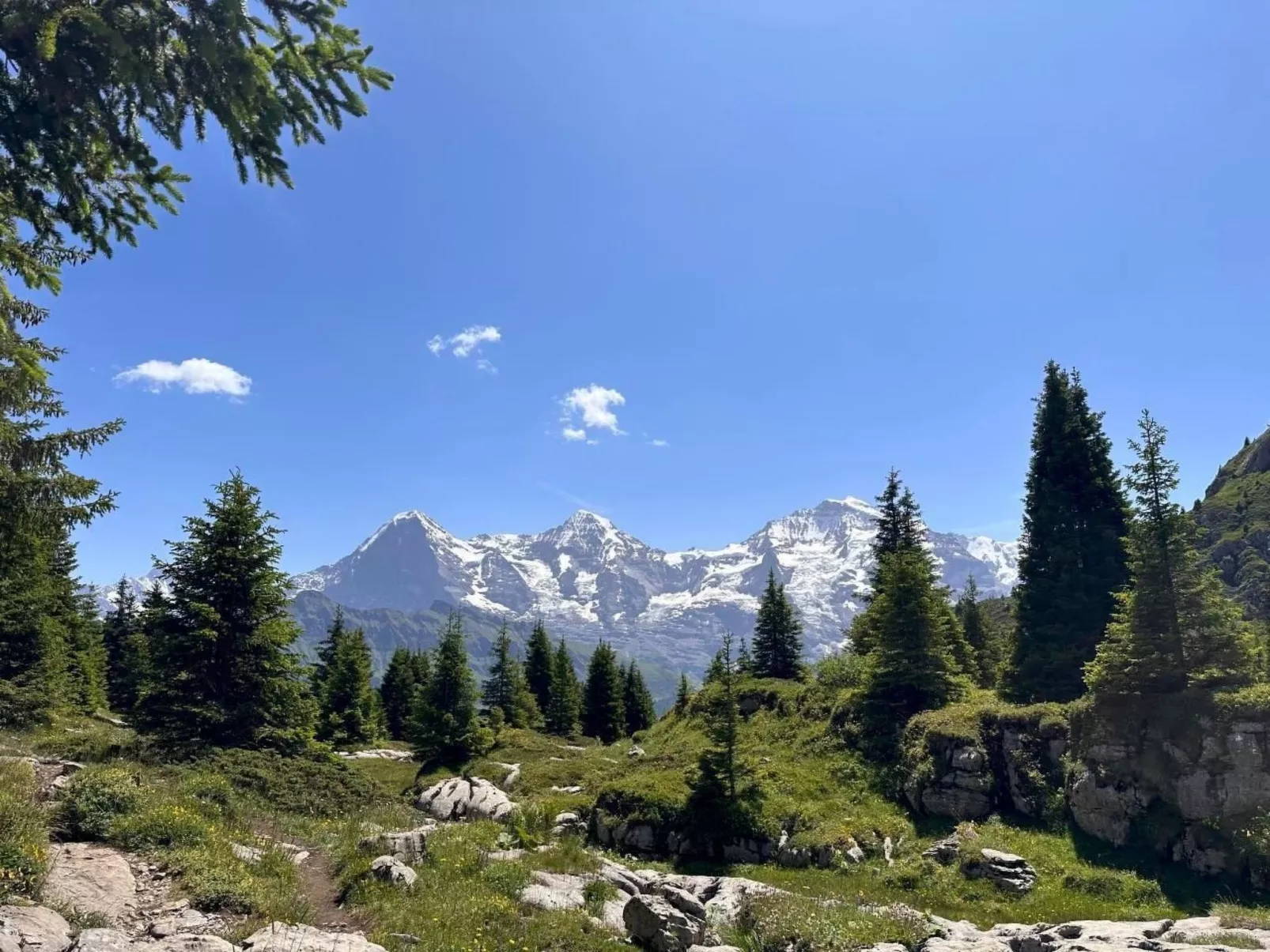 Wohnung Niesenblick-Buiten