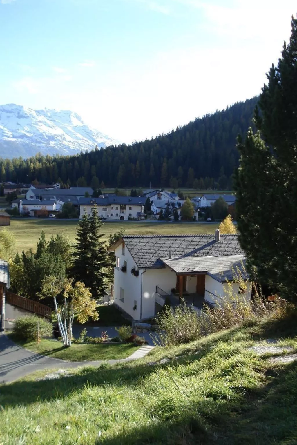 Drei 1/2 -ZiWohnung-Buiten