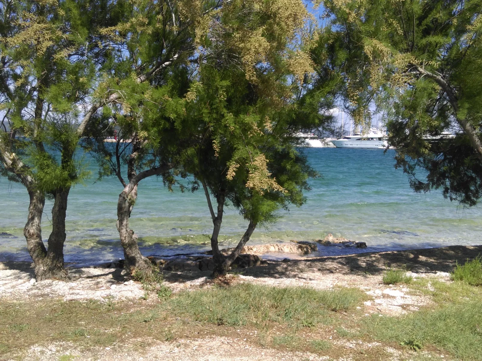 Ferienwohnung-Buiten