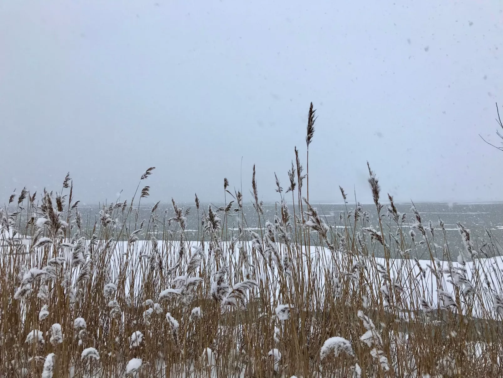 Wiesenblick 2-Buiten