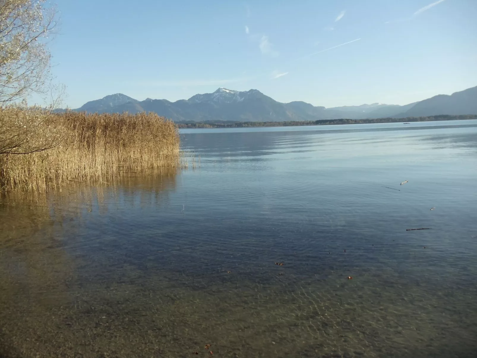 Martina-Image-tags.info