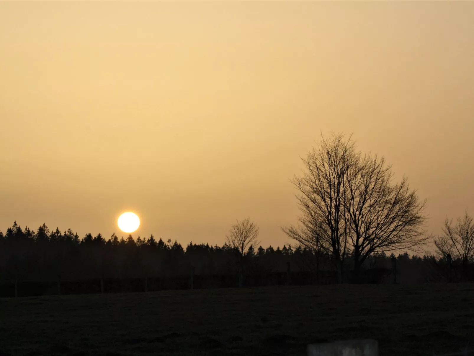 Am Hohen Venn-Buiten