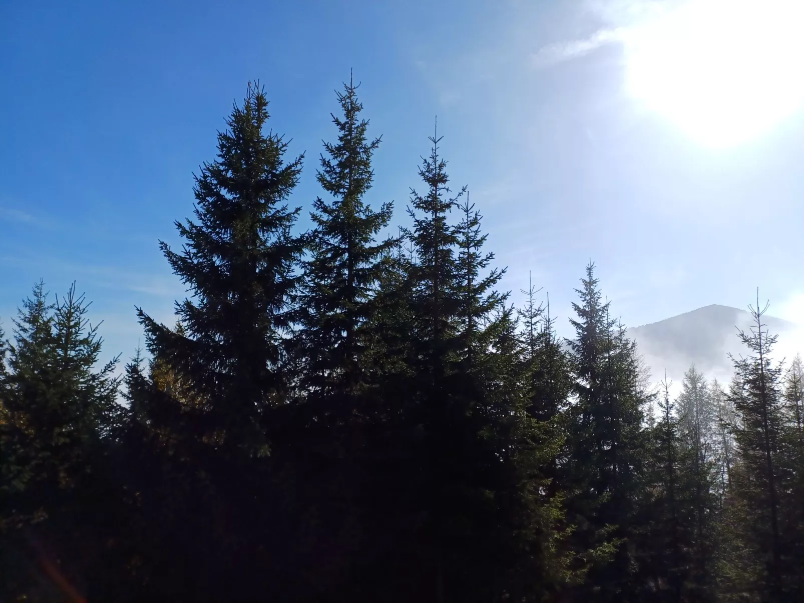 Gemütliche Almhütte direkt im Skigebiet-Buiten
