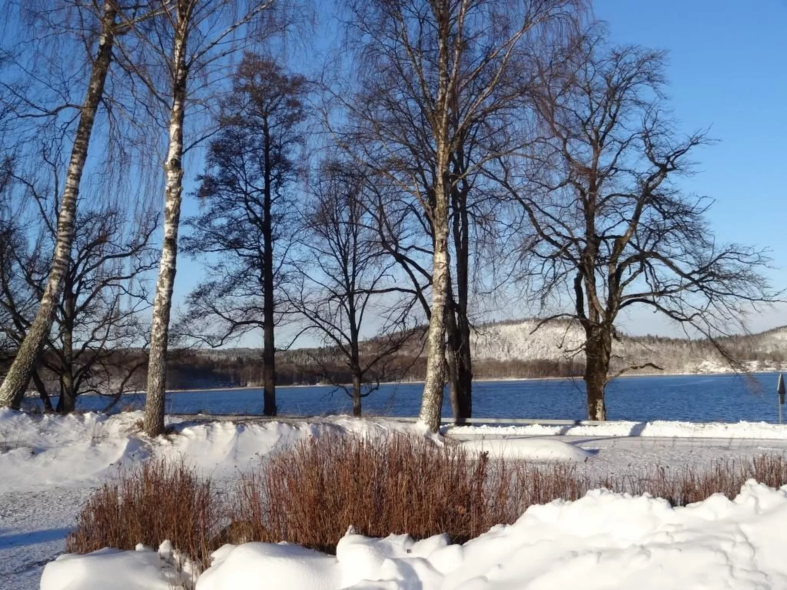 Rosenapartment-Buiten