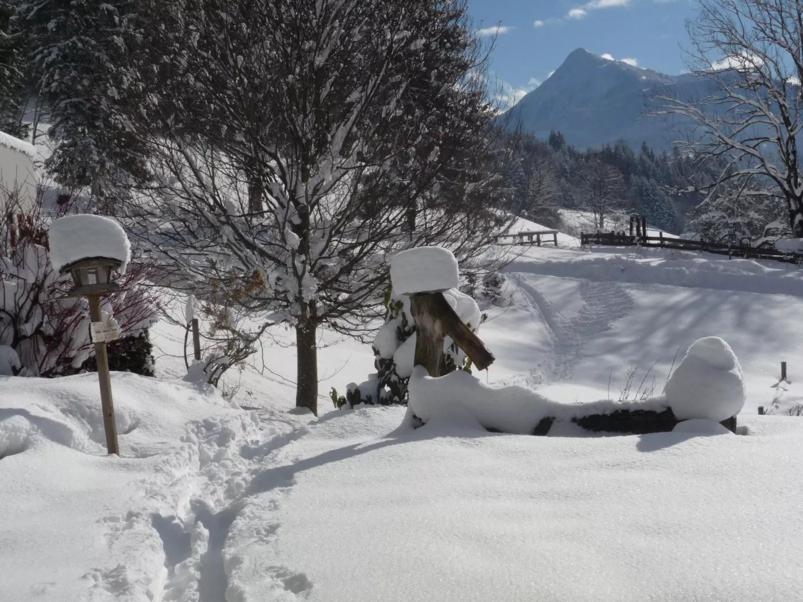 Hans Ebner in Eben im Pongau-Buiten