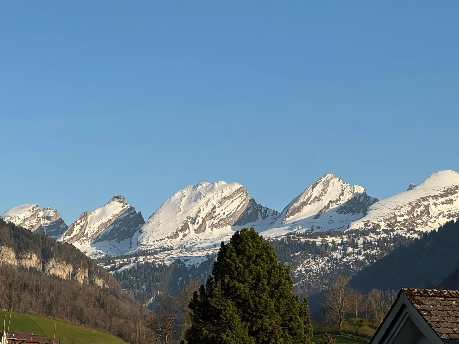 Zwingli's Ferienwohnung-Buiten