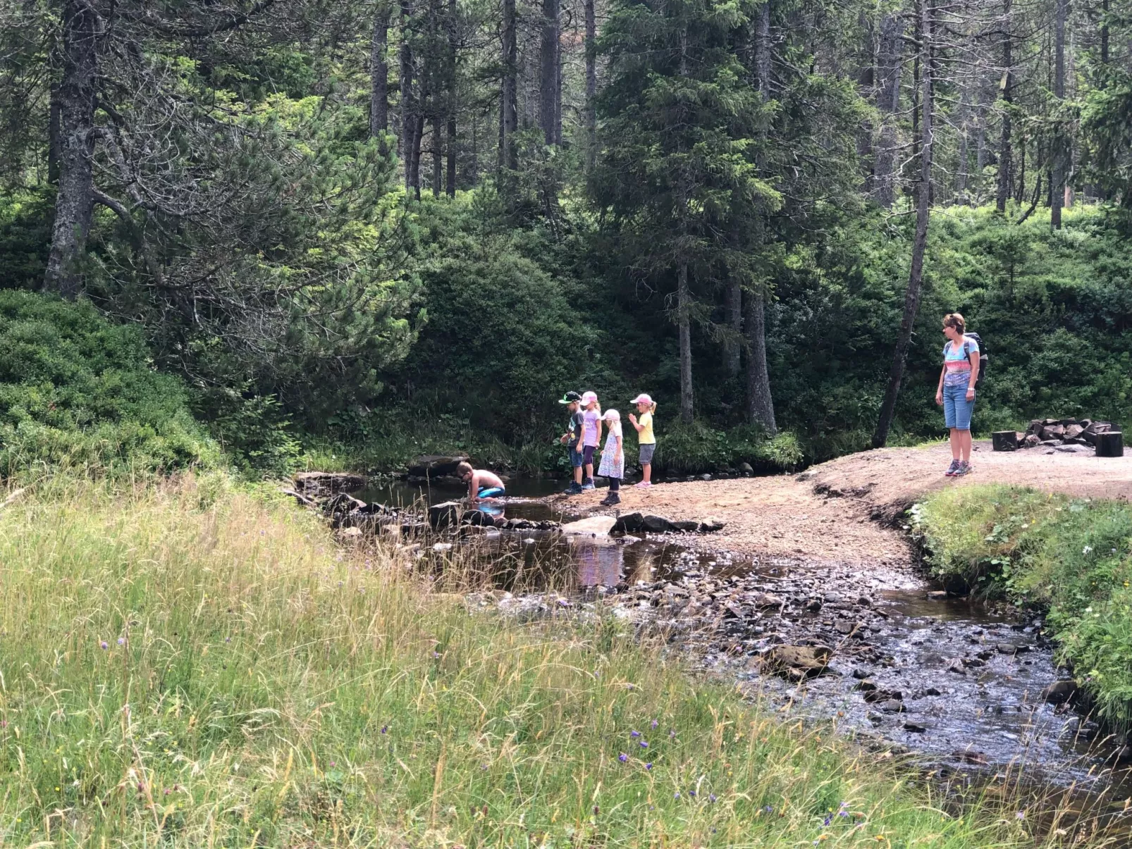 Sunny retreat-Buiten