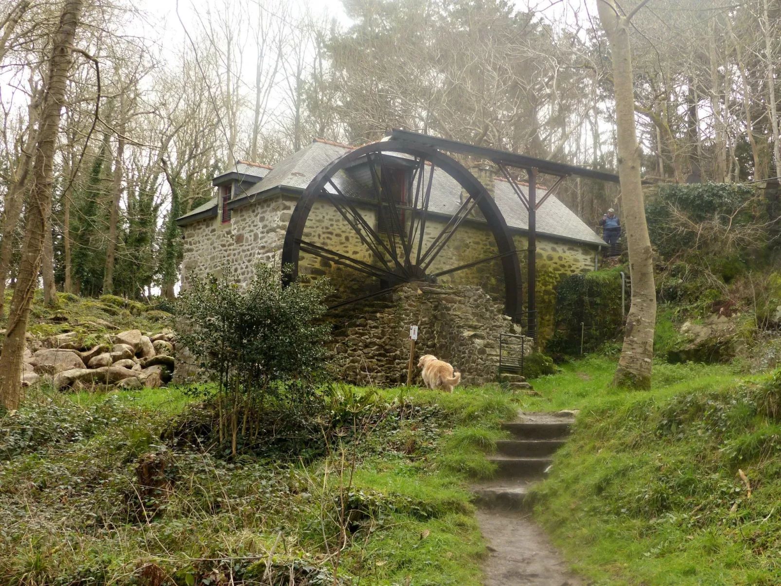 Unterkunft in der Mitte-Buiten