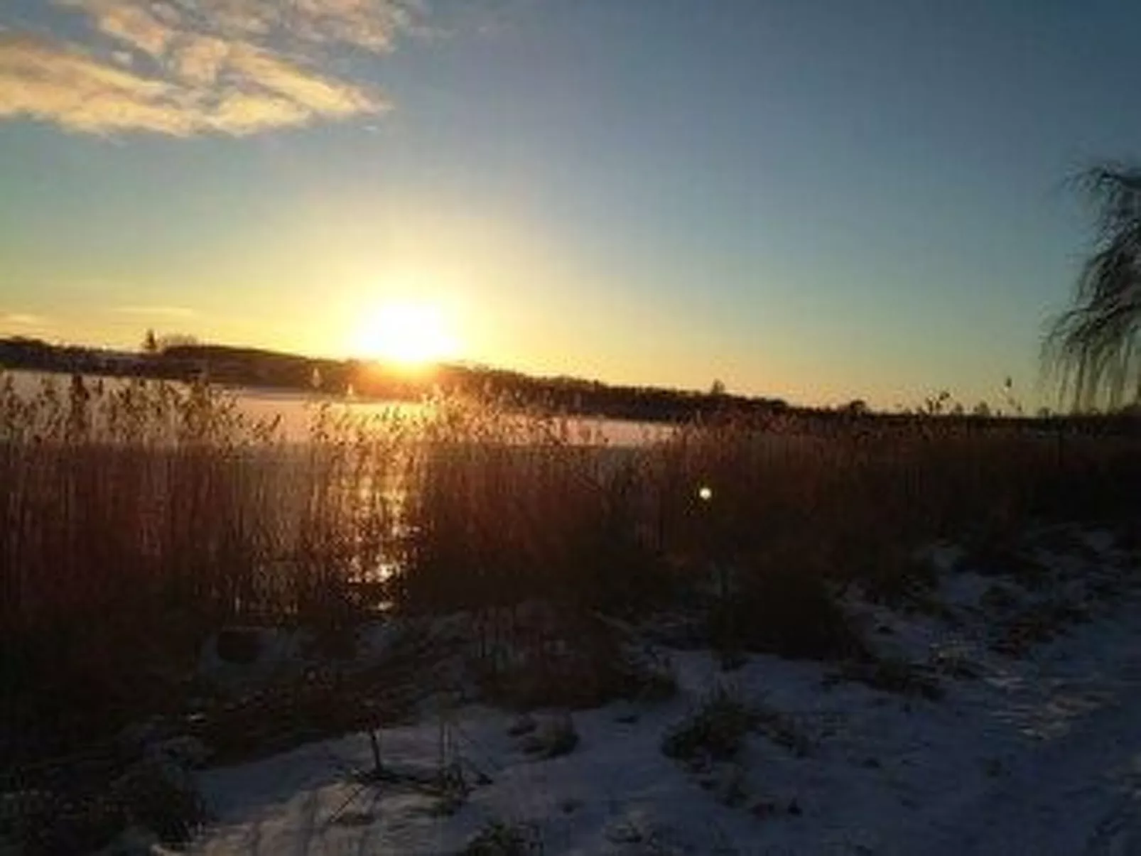 Wohnung mit Balkon in Sellin-Image-tags.info