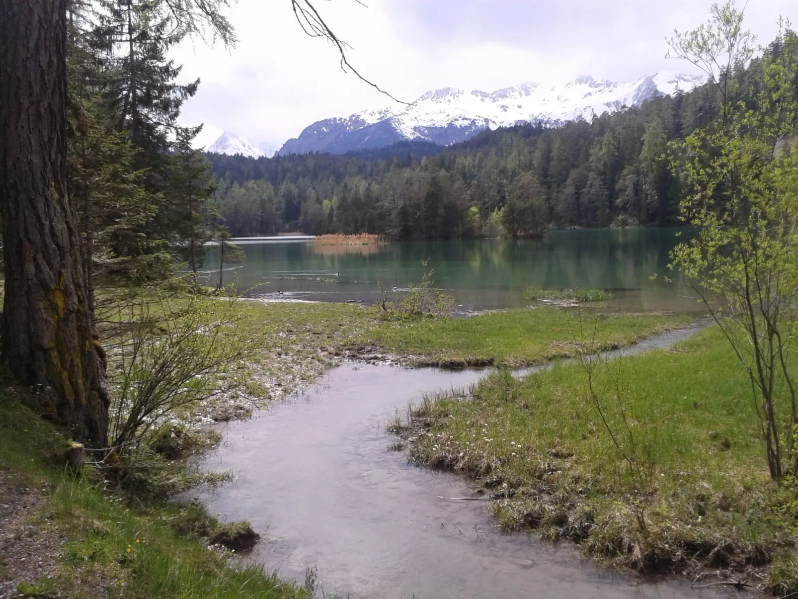 Sonnenhof 1-2 Personen in Ehrwald-Buiten