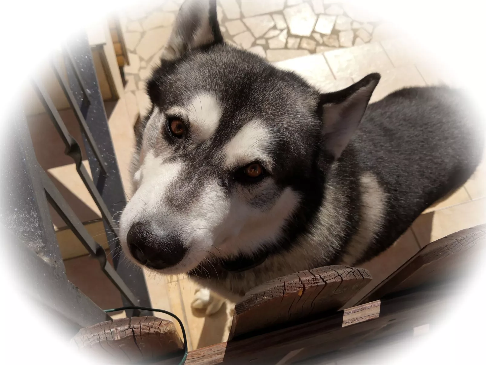 Apartment TOP 1-Buiten