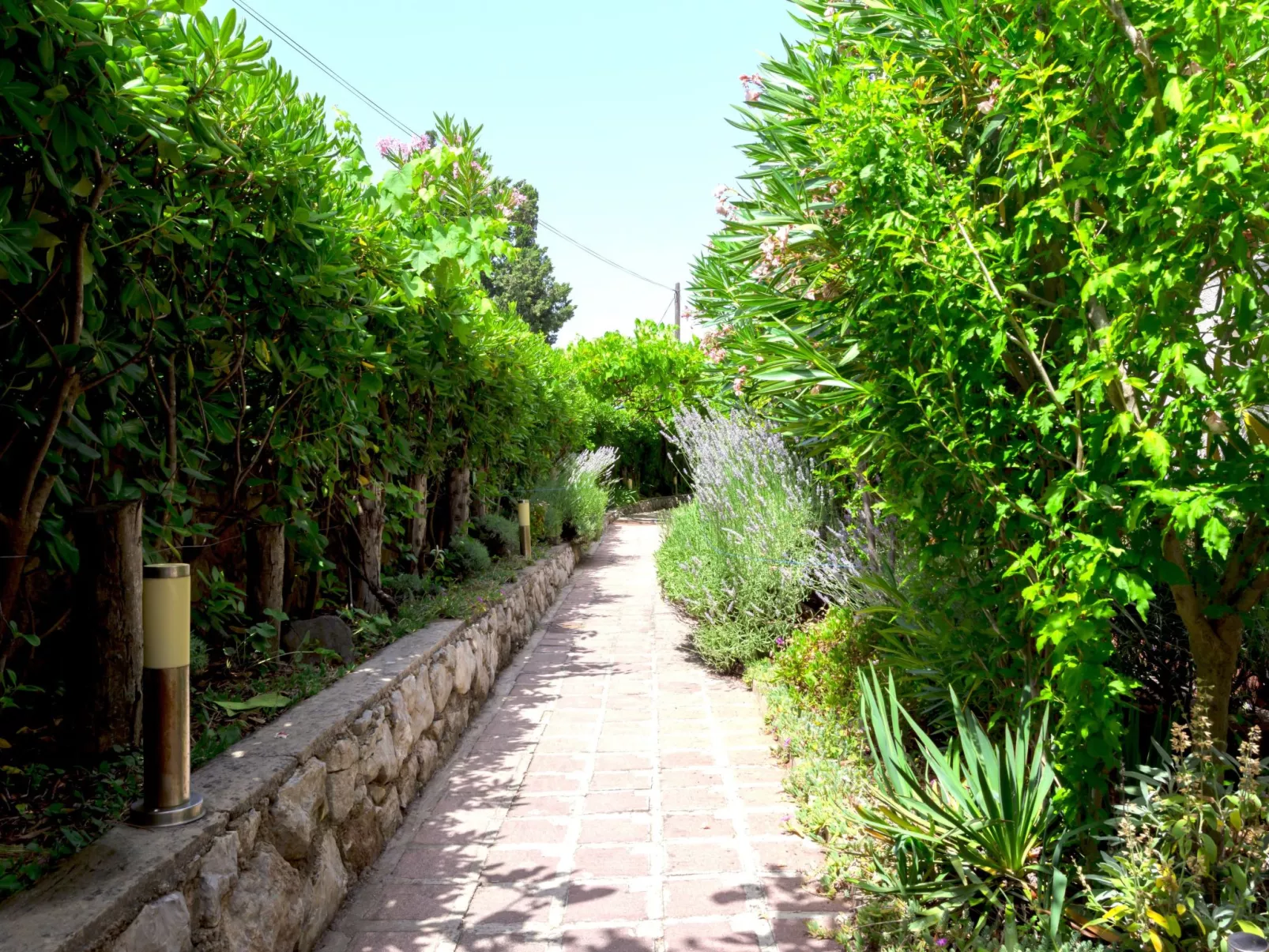 Studio "Buka Calm IV"-Binnen