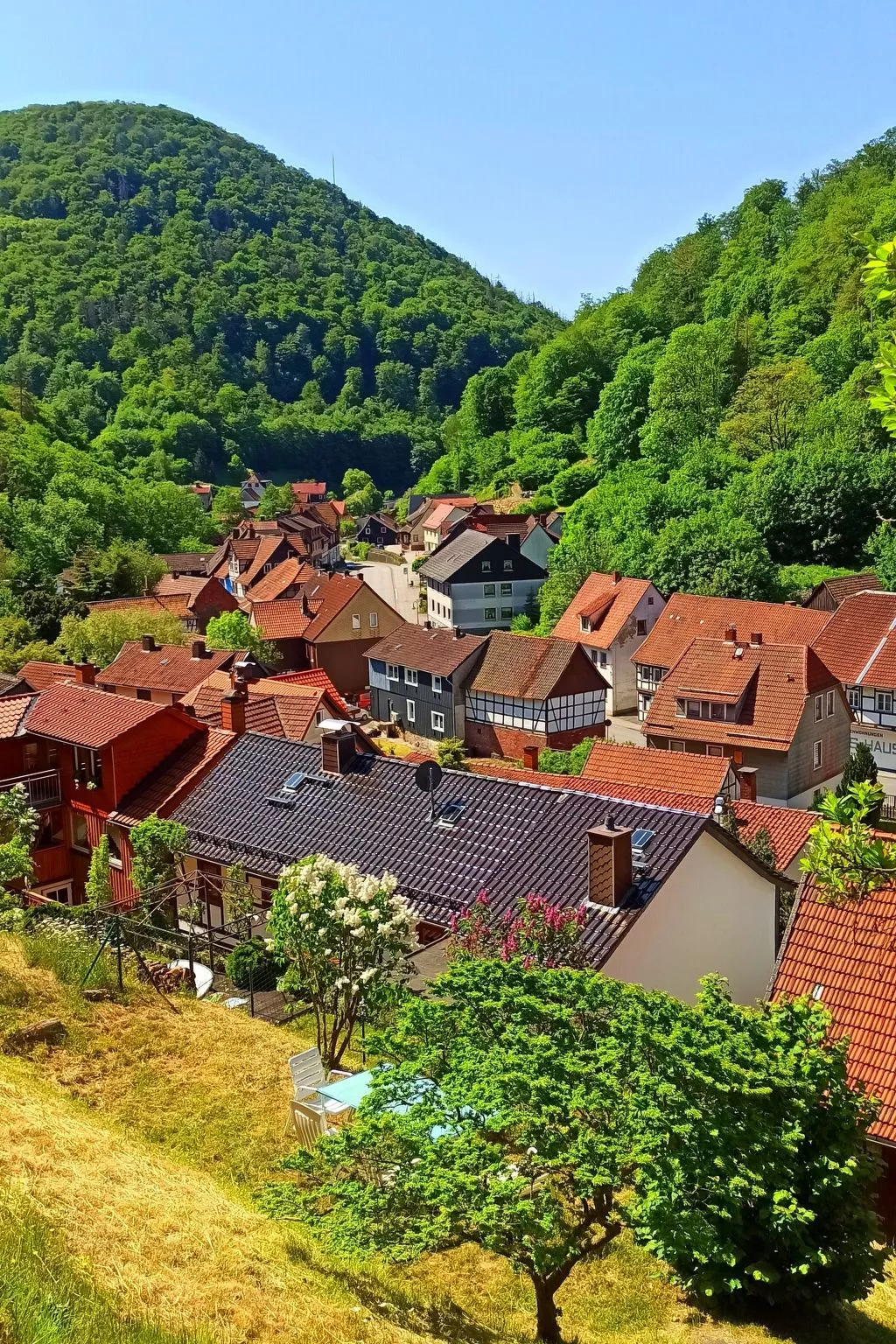 Authentisches Fachwerkhaus am Rande des Waldes-Buiten