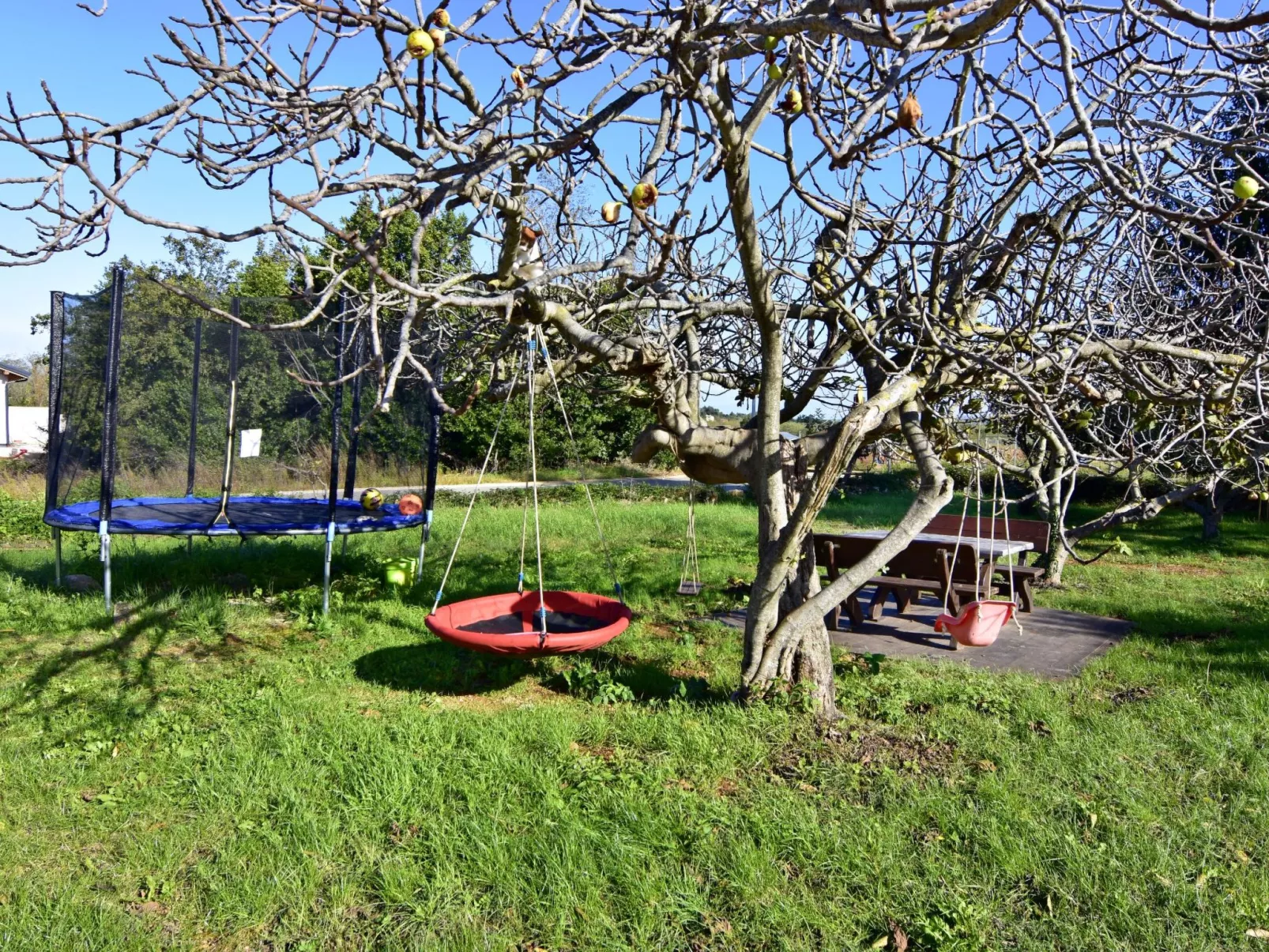 Silva B4+1-Image-tags.info