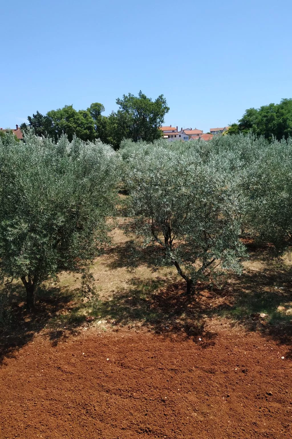 Ferienvilla mit privatem Pool-Buiten