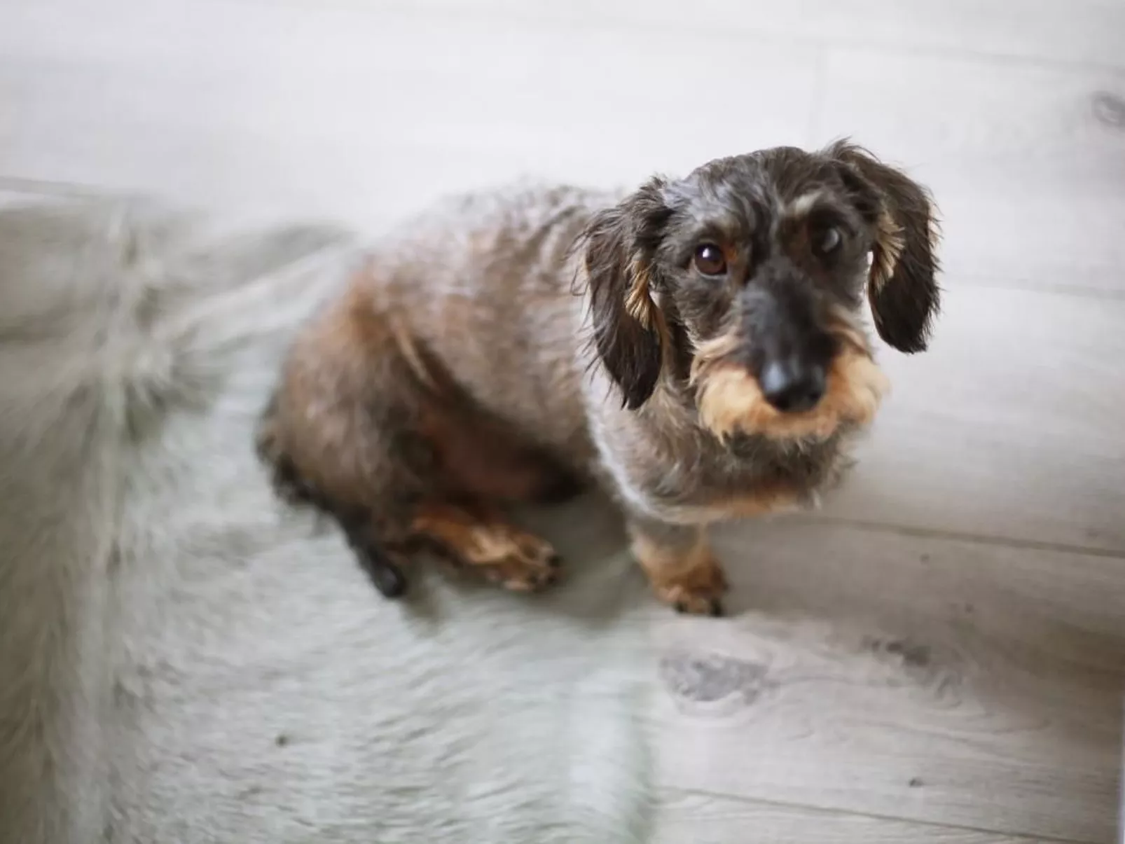 Komfortable Ferienwohnung mit großem Balkon-Binnen