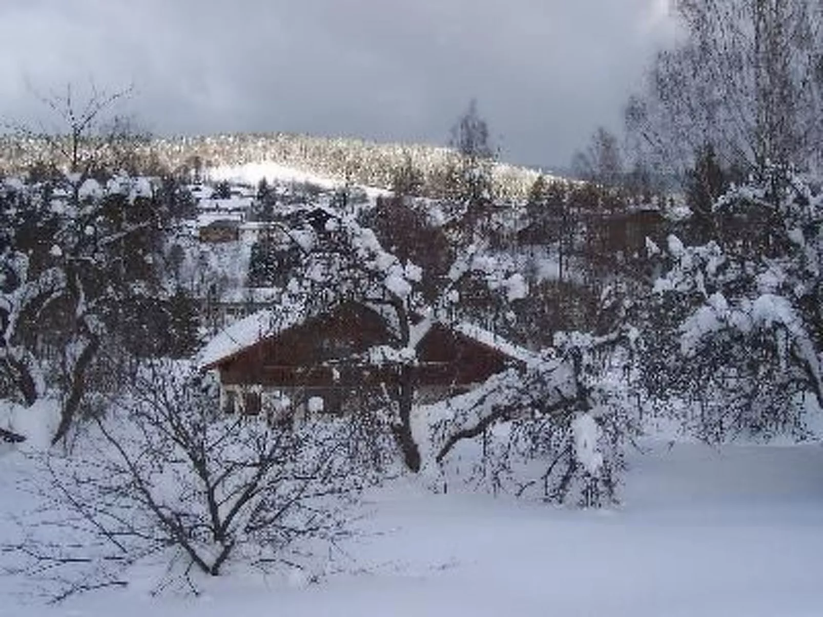 In Bayerisch Eisenstein mit Garten-Buiten