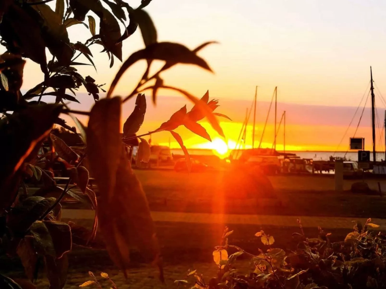 "Saaler Bodden"-Buiten