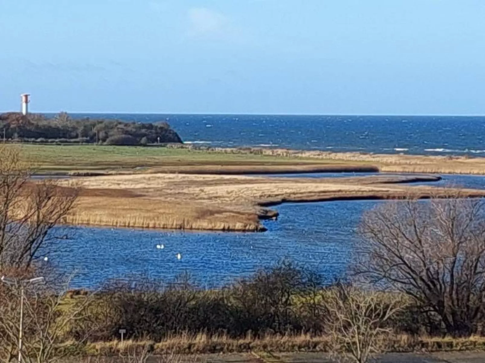 Meeresleuchten-Image-tags.info