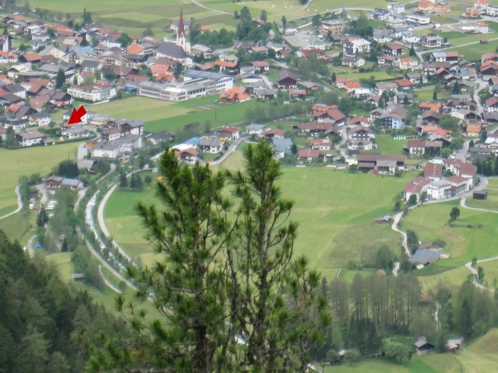 Rosa in Umhausen-Buiten