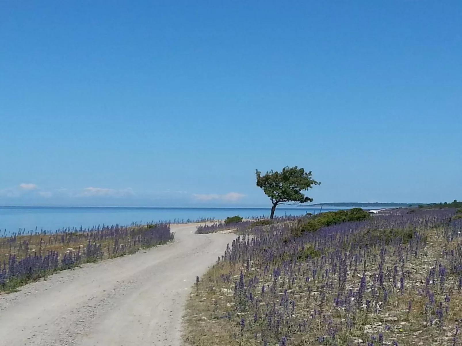 Niedliches Schwedenhaus.-Buiten